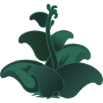 Vector clip art of dark green zutto plant