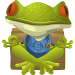 Yoga frog