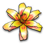 Flower 4