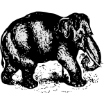 Elephant illustration-1632069824
