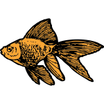 Goldfish-1632069593