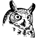 Owl head vector image