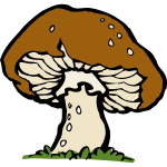 Vector image of a big mushroom