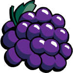Black grapes vector clip art