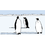 Penguins vector illustration