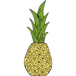 Vector drawing of pineapple