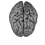 Blurry vector image of human brain