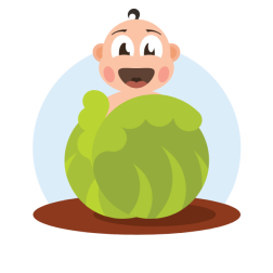 Kid with a cabbage