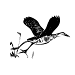 Bird vector illustration | Free SVG