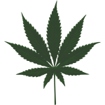 Cannabis leaf vector image