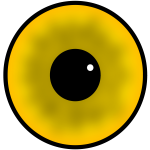 Yellow human eye iris and pupil vector image