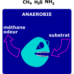 degradation anaerobie