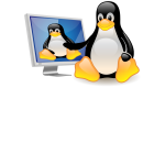 Penguin in front of the computer