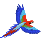 Colorful macaw-1628199073