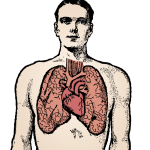 Man and lungs