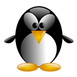 Illustration of cartoon penguin with big eyes