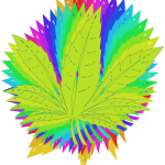 Rainbow marijuana leaf