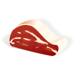 Vector illustration of piece of meat