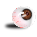 Eyeball brown_bloodshot