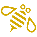 Minimal Bumblebee