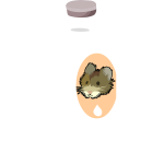 misc milk vole