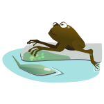 moist frog