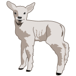 Young lamb vector art