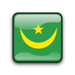 Mauritania flag vector