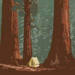 Camping in the Forest