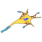 Simple neuron vector drawing
