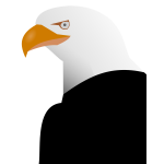Eagle vector graphics