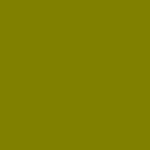 Olive color square shape