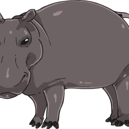 Cartoon Hippopotamus Illustration