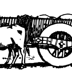 Ox-drawn Cart