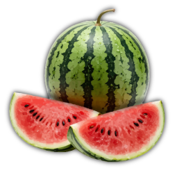 Whole Watermelon and Slices