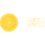 Half orange and orange bits vector clip art