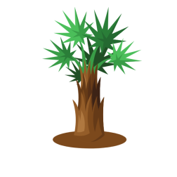 A plant with spiky leaves