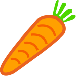 Carrot vector drawing
