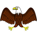 Color bald eagle vector image