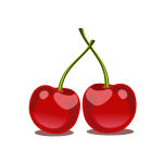 Glossy cherry fruit