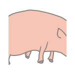 Vector image of orgami sculpture of pig