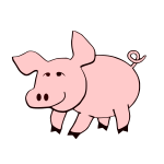 Cute pig image