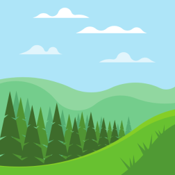 Pine forest in the valley