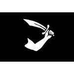 Vector image of black and white pirate flag