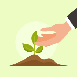 Hand Touching Plant Sprout