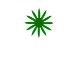 Green plant top view vector drawing