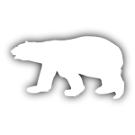 Polar bear-1625174623