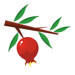 Pomegranate branch