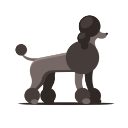 Poodle dog breed