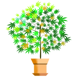 Potted plant vector image